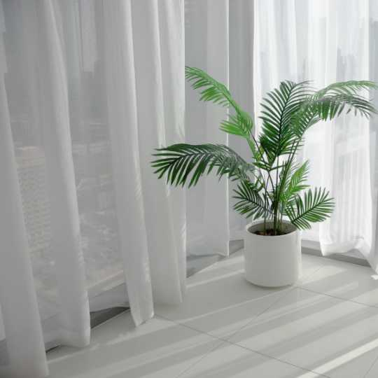 Rèm Voan Trắng Tinh