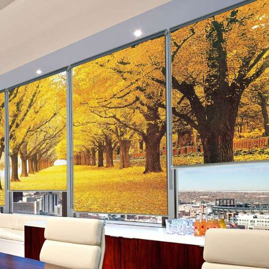 Rèm Cuốn PVC In Tranh